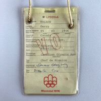 Accreditation for team officials