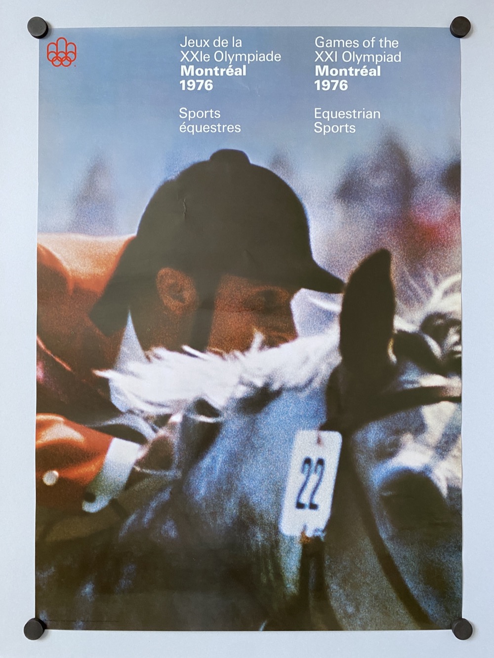 Equestrian sport poster